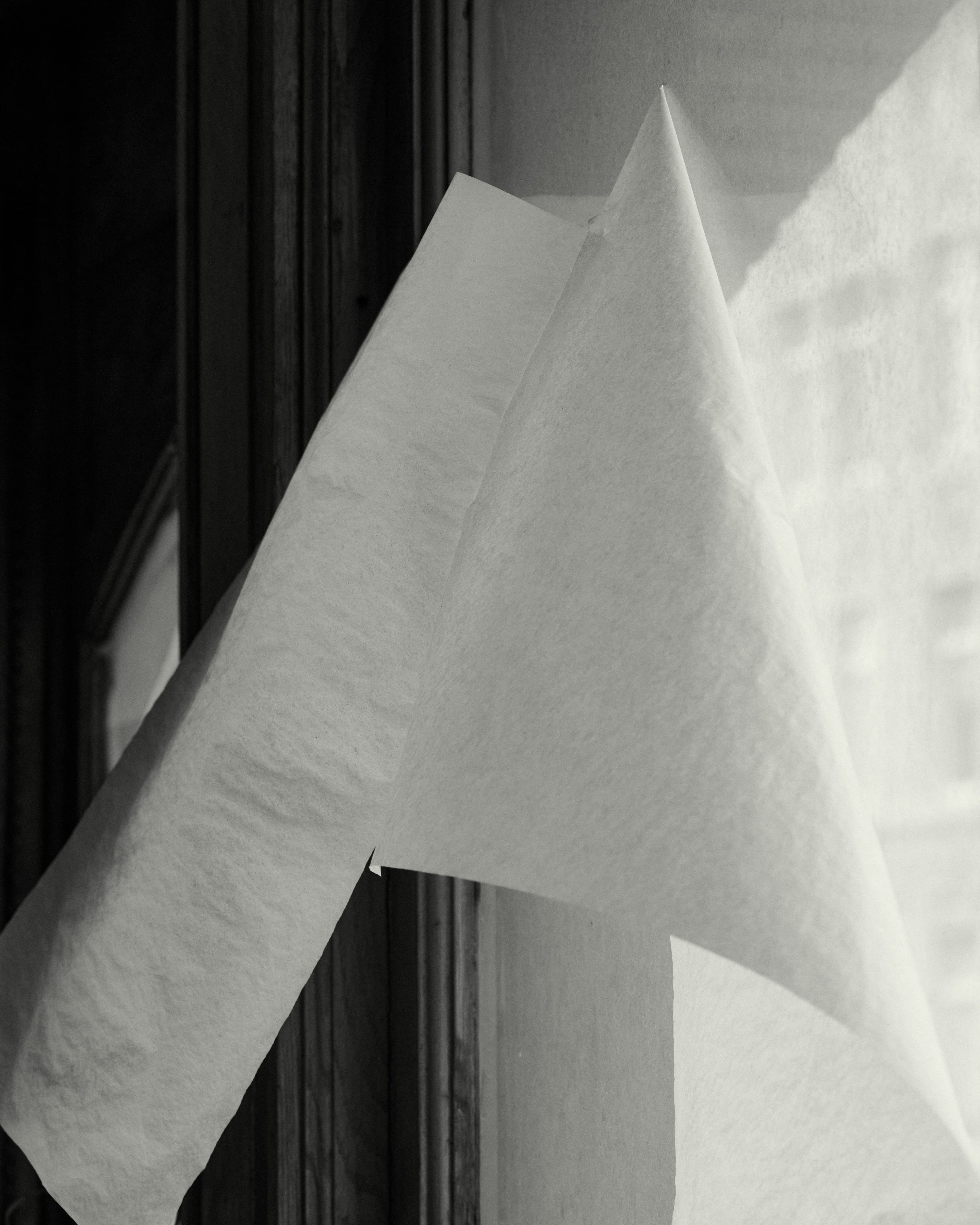 A Look Inside Patricia von Musulin’s Studio