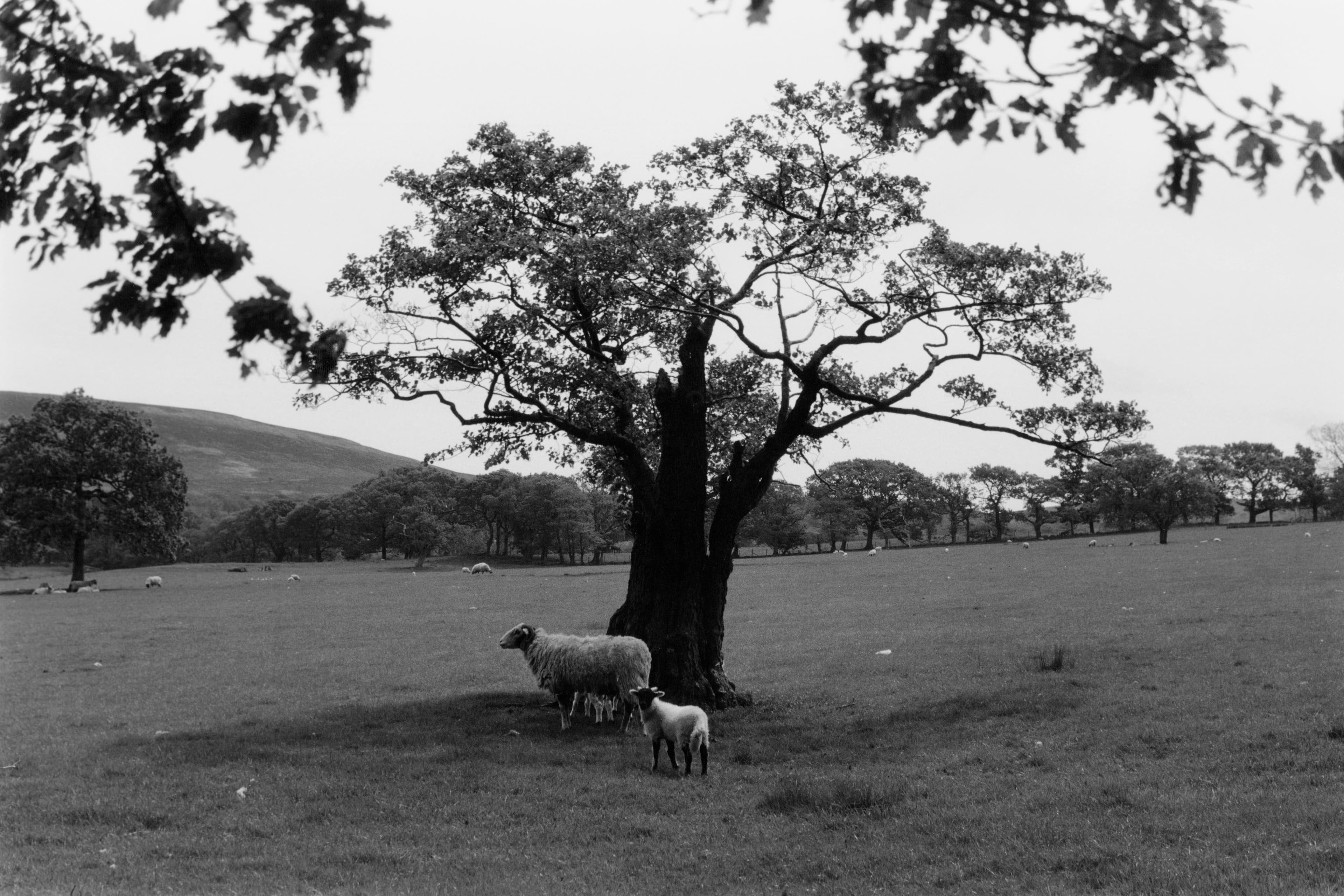 Andel Is Modeling a New Way Forward for Fashion