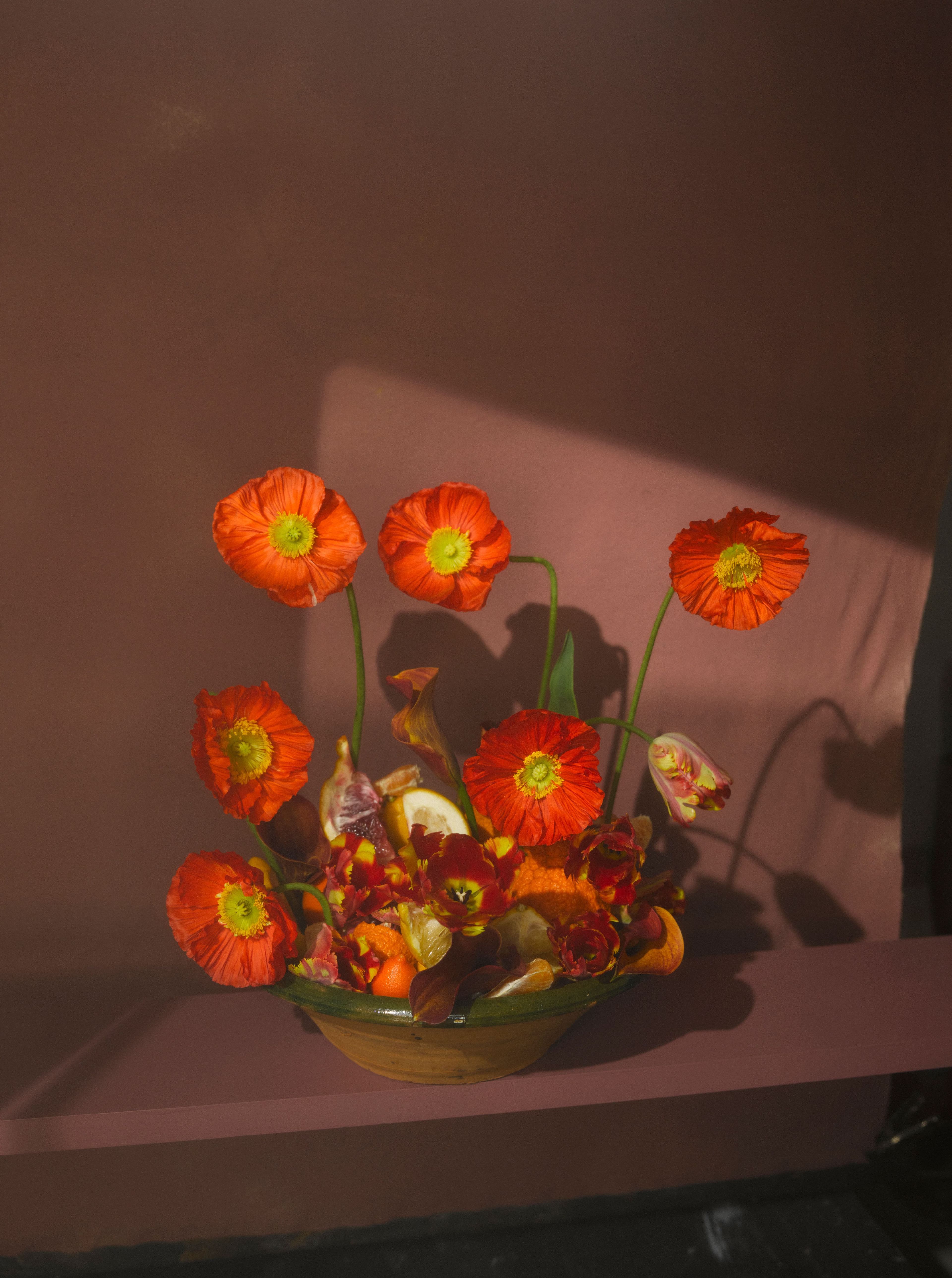 Poppy, tulip, oroblanco, cara cara orange, mandarinquat