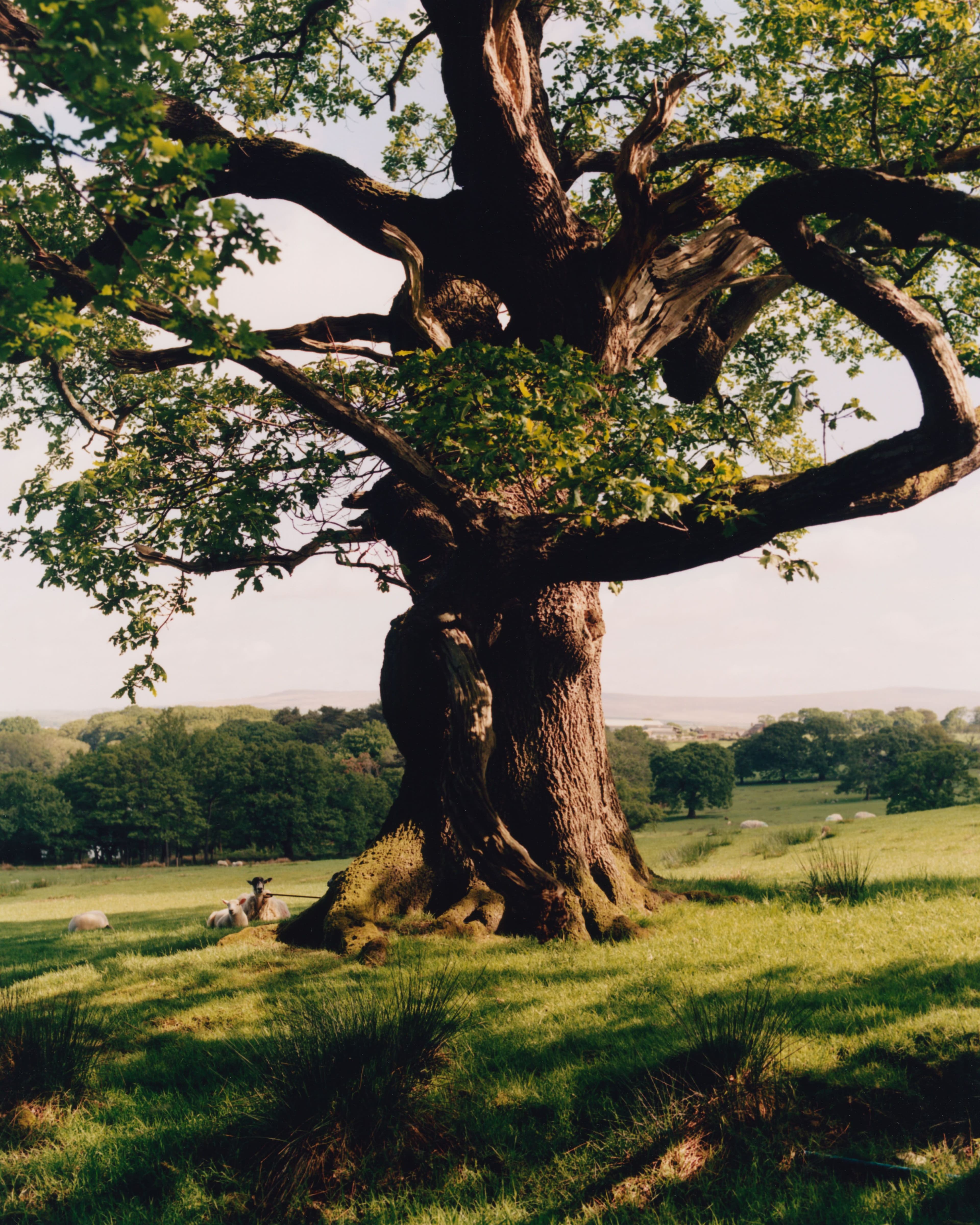 Andel Is Modeling a New Way Forward for Fashion