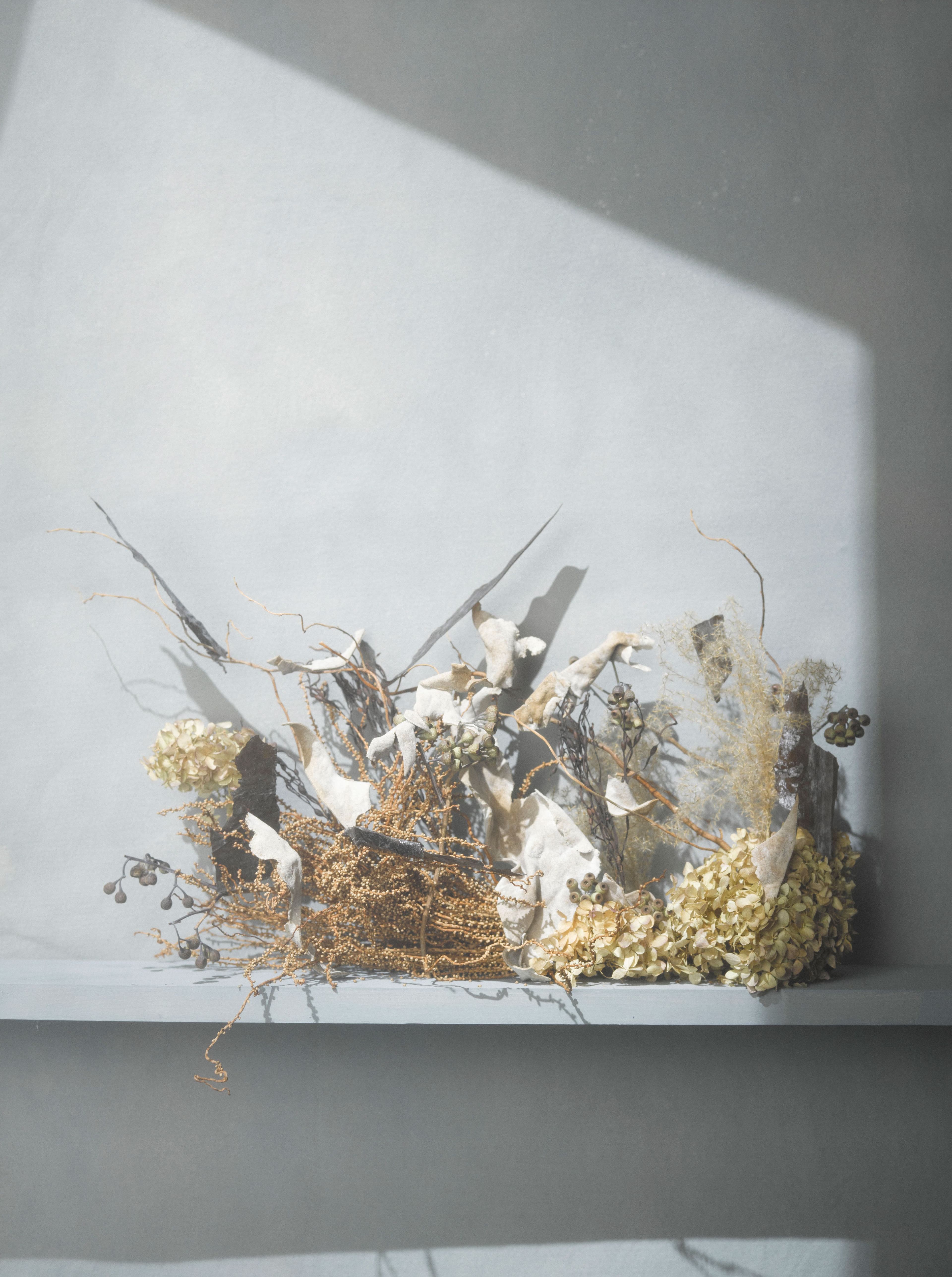 Kombu, bladderwrack, nori crisp, eucalyptus, hydrangea