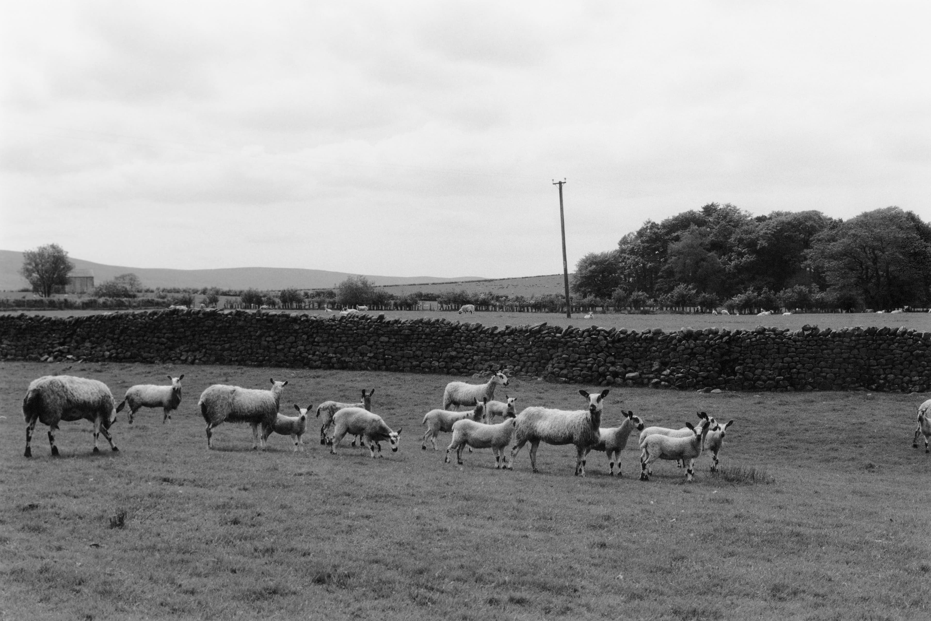 Andel Is Modeling a New Way Forward for Fashion