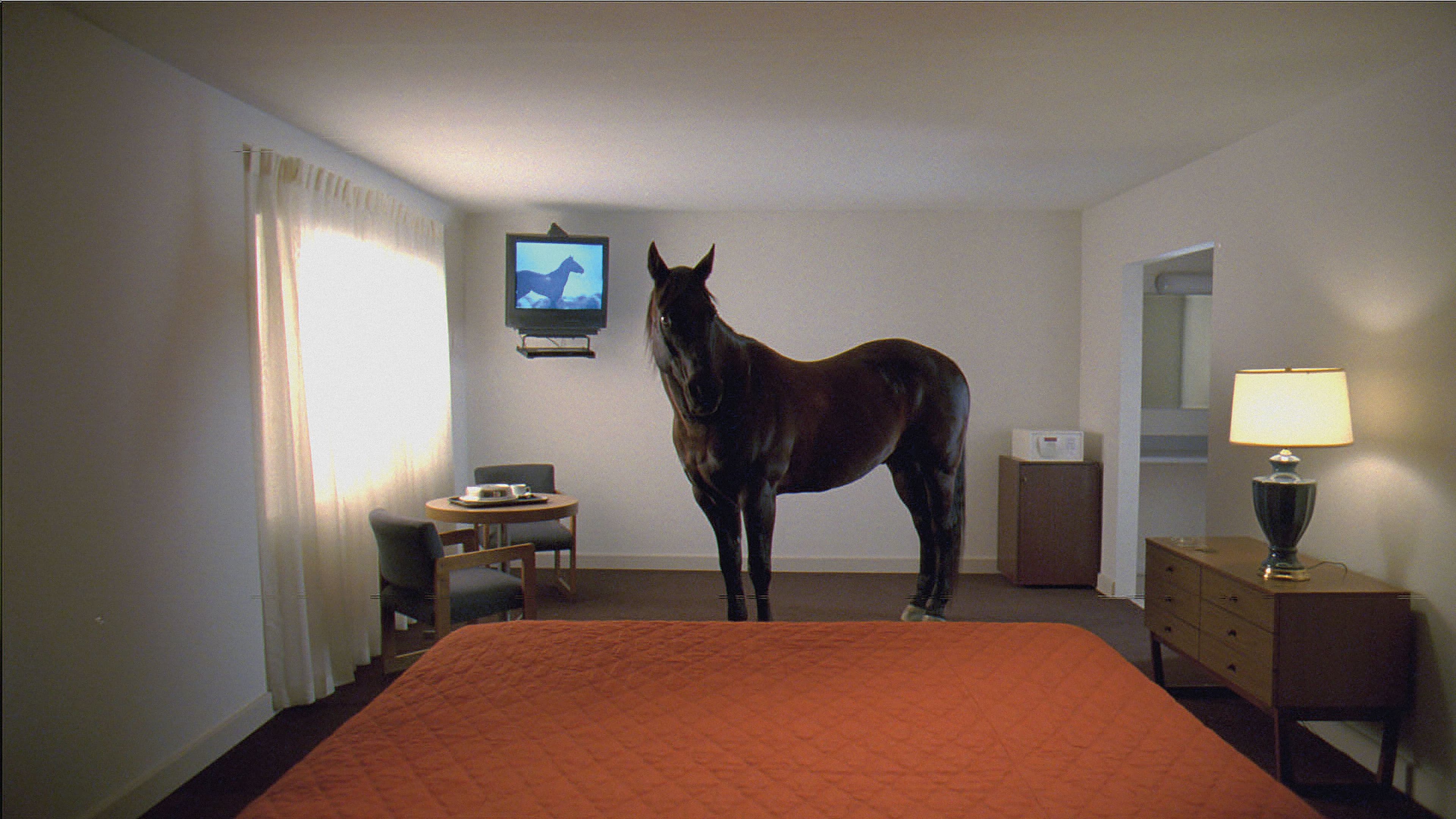 Doug Aitken, ’migration (empire),’ 2008 (still), from ’Works 1992-2022’ (MACK, 2022). Courtesy of the artist and MACK.