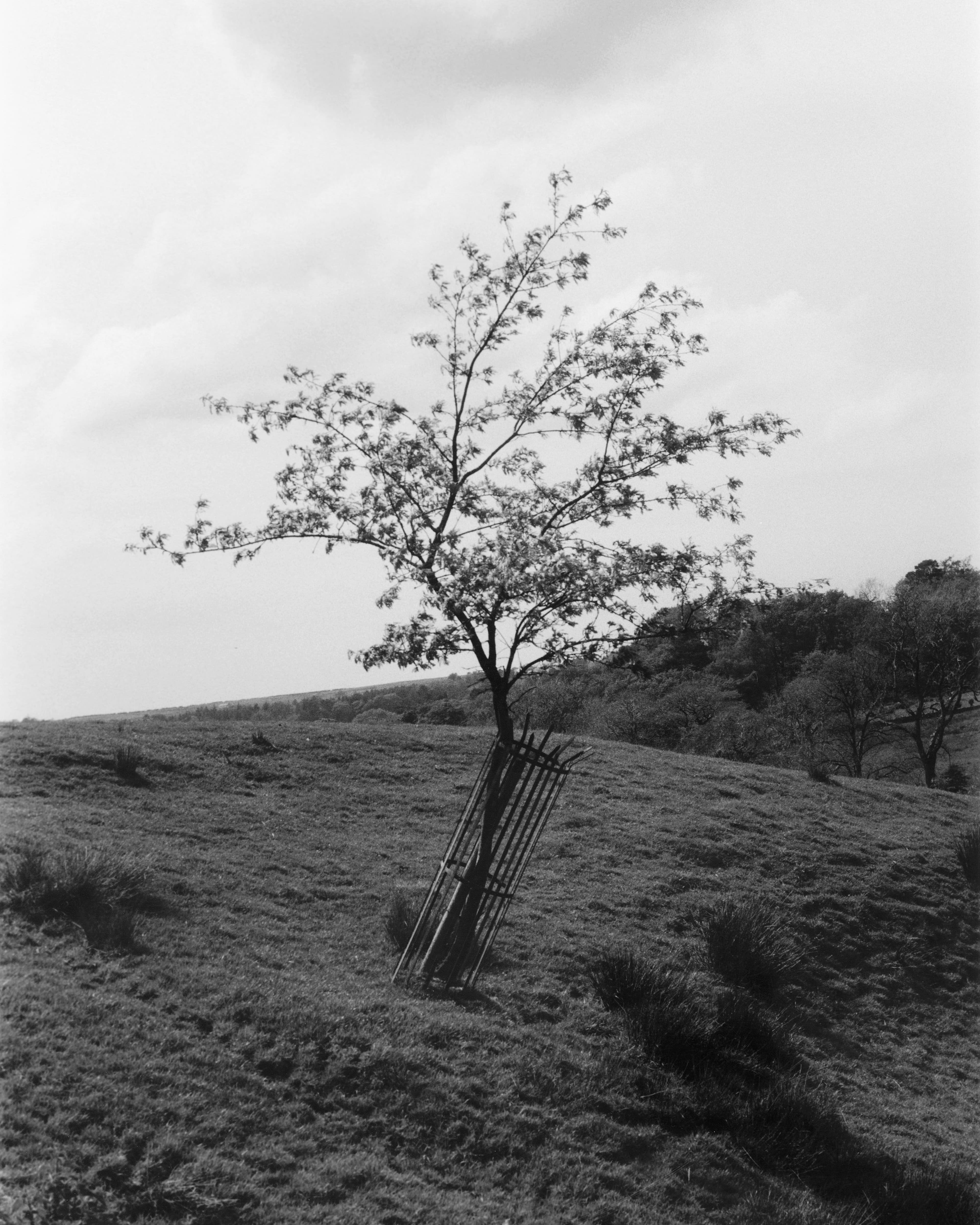 Andel Is Modeling a New Way Forward for Fashion