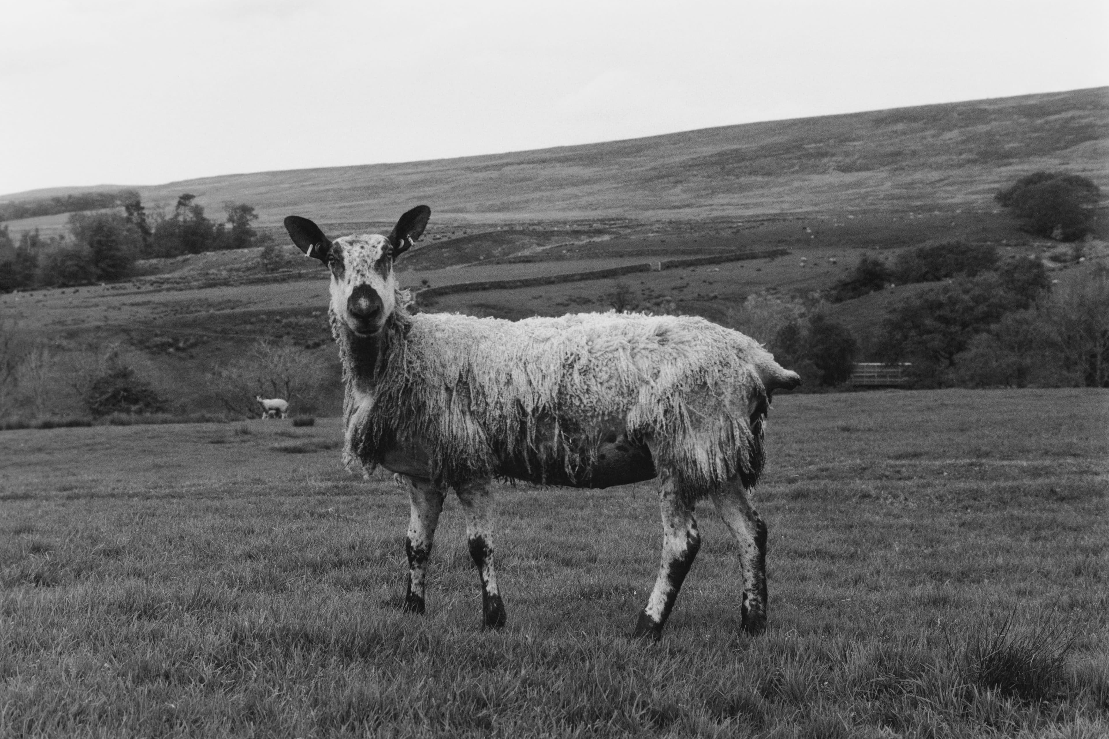 Andel Is Modeling a New Way Forward for Fashion