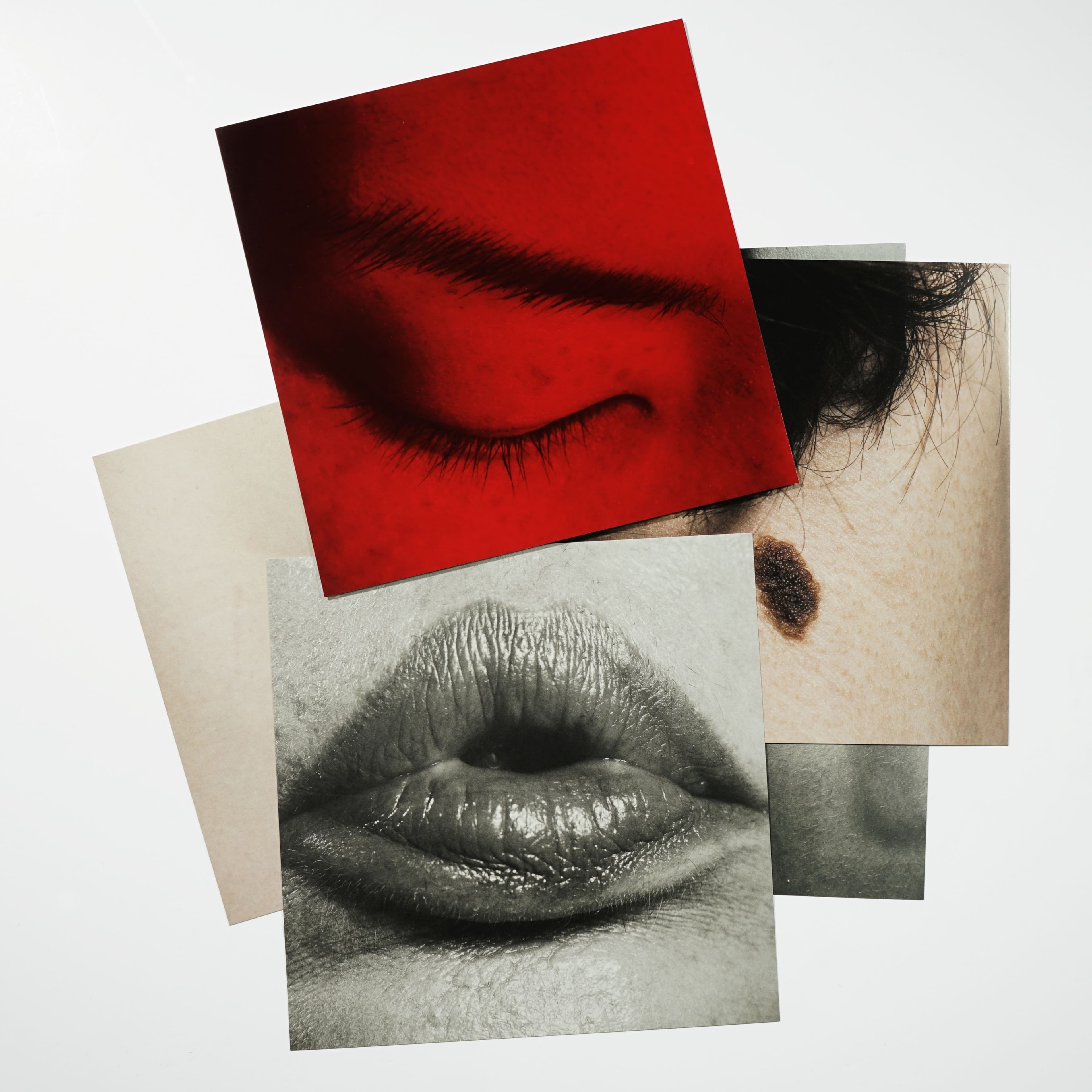 Max Papendieck’s Body of Work